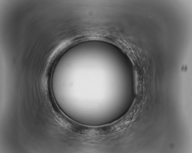 X0000100770197200806261552