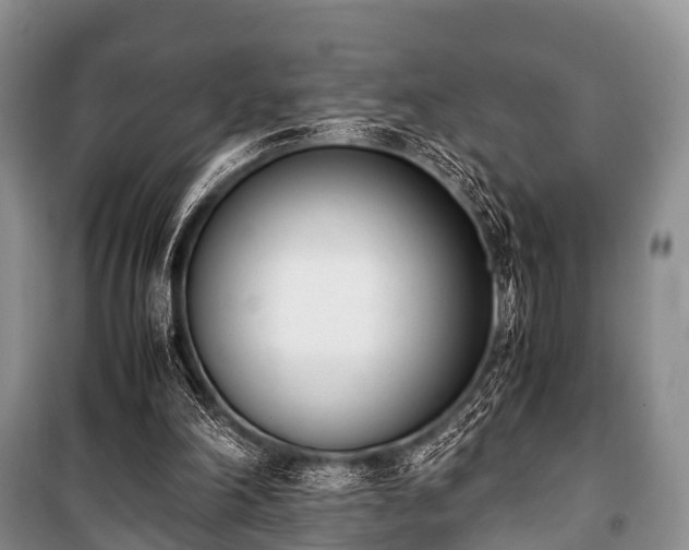 X0000100770198200806261552