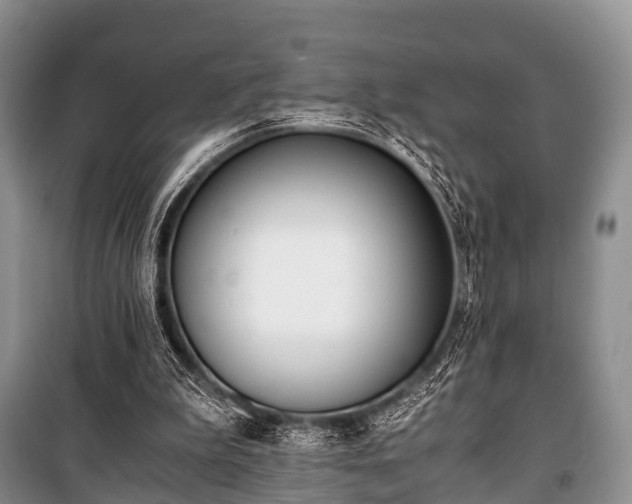 X0000100770199200806261552