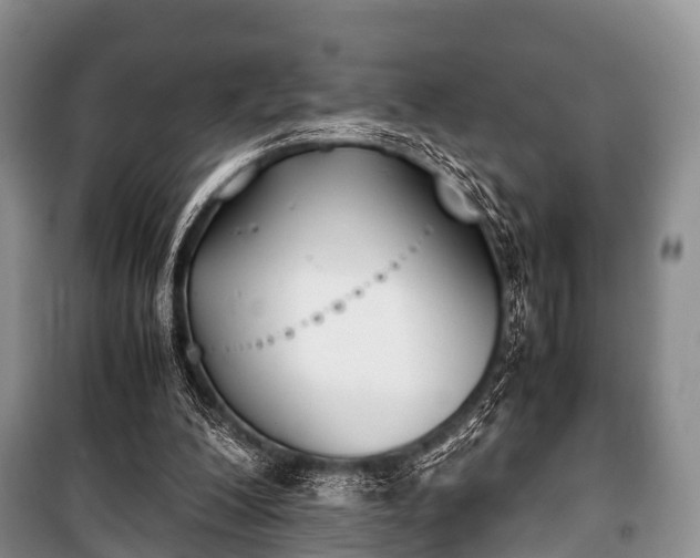 X0000100770200200806261552