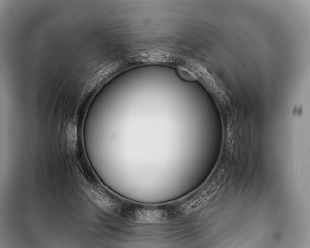 X0000100770202200806261551