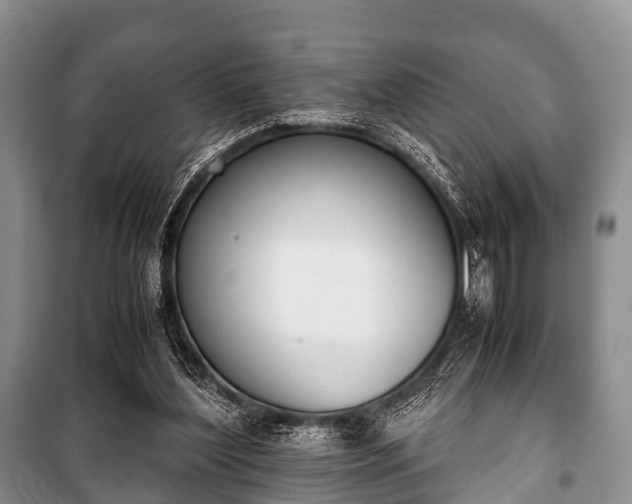 X0000100770204200806261551