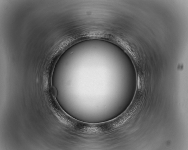 X0000100770205200806261551