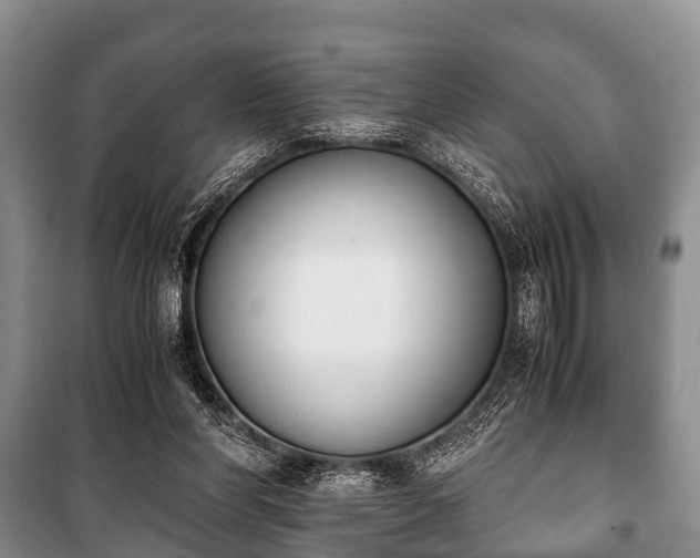 X0000100770206200806261551