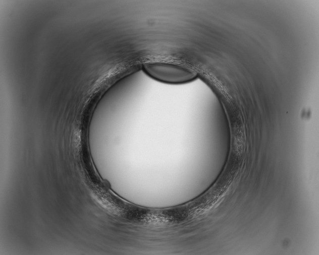 X0000100770207200806261551