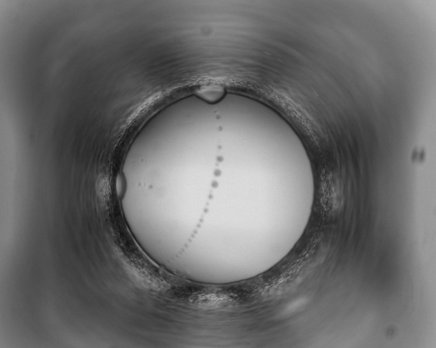 X0000100770208200806261551