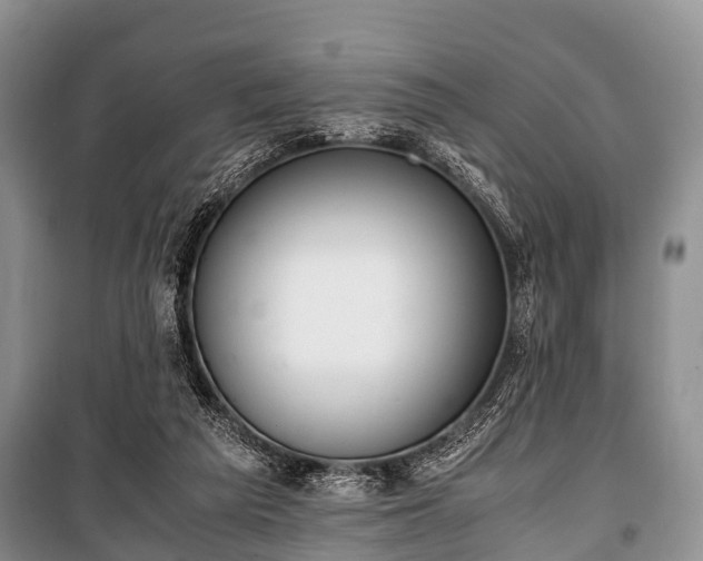 X0000100770209200806261551