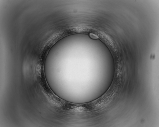 X0000100770210200806261551