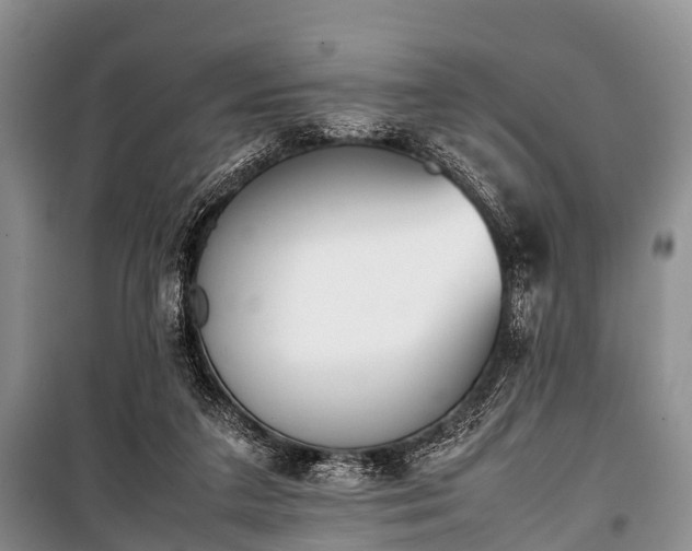X0000100770211200806261551