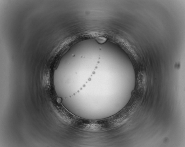 X0000100770212200806261551