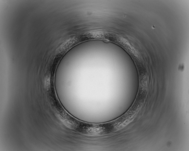 X0000100770213200806261551