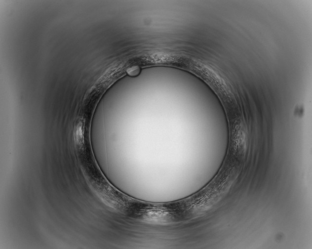 X0000100770214200806261551