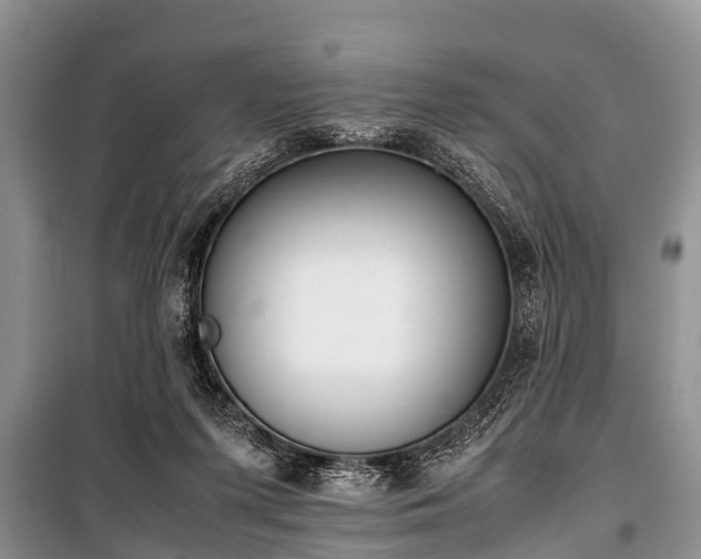 X0000100770215200806261551
