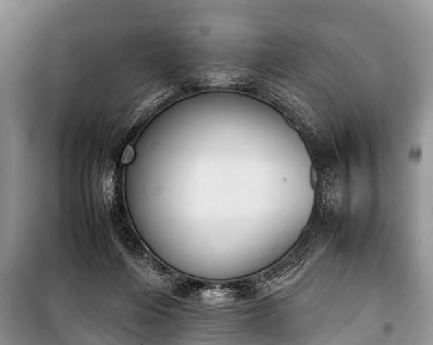 X0000100770216200806261551