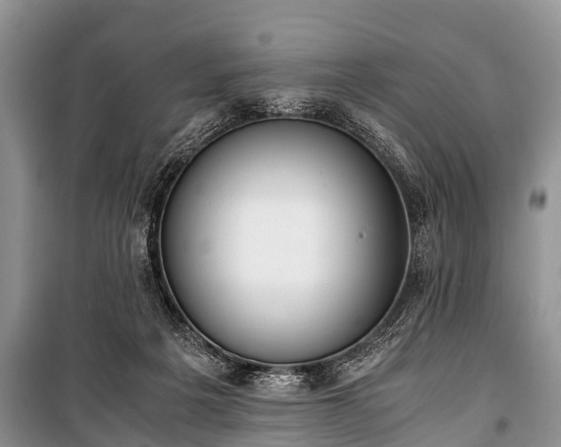 X0000100770217200806261551