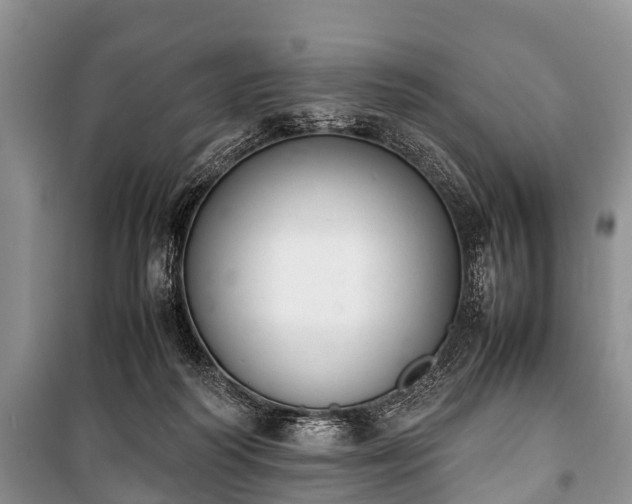 X0000100770218200806261551