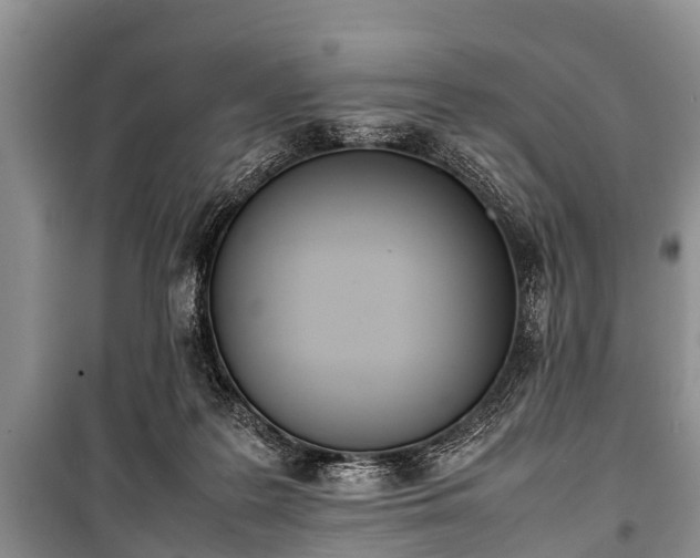 X0000100770219200806261551