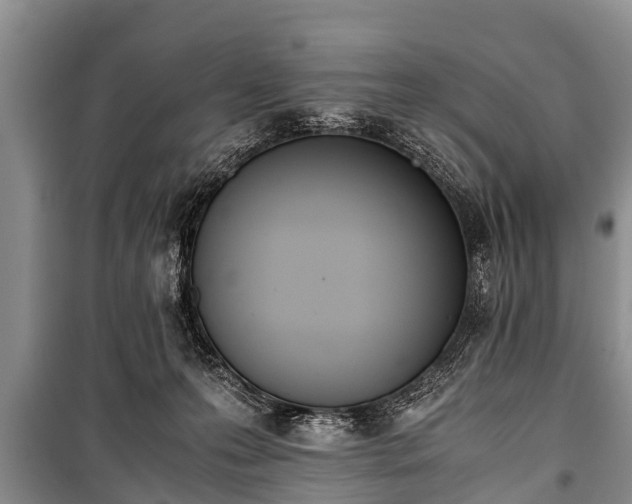 X0000100770223200806261551