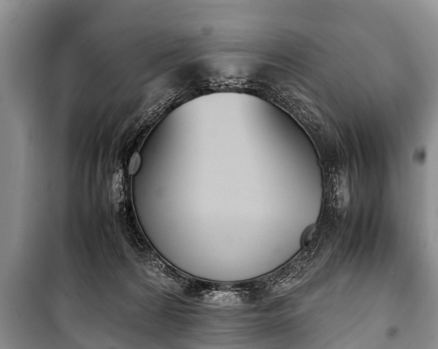 X0000100770224200806261551