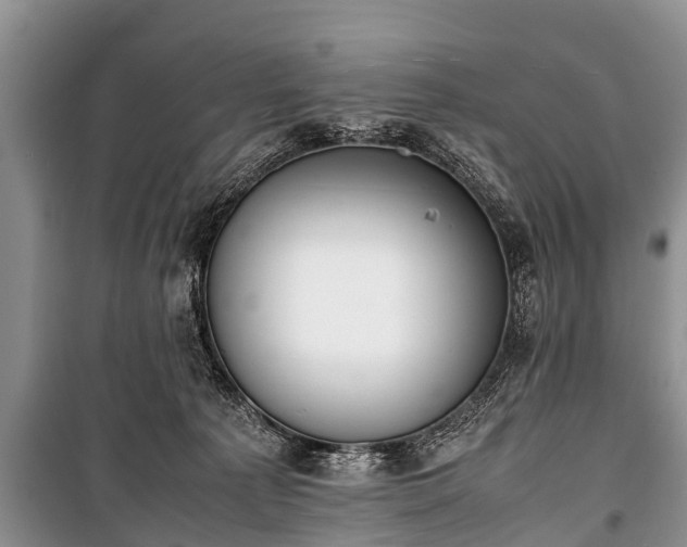 X0000100770225200806261551