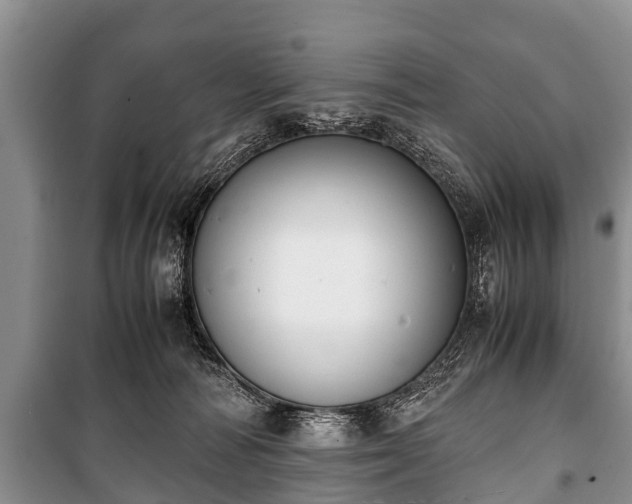 X0000100770226200806261551