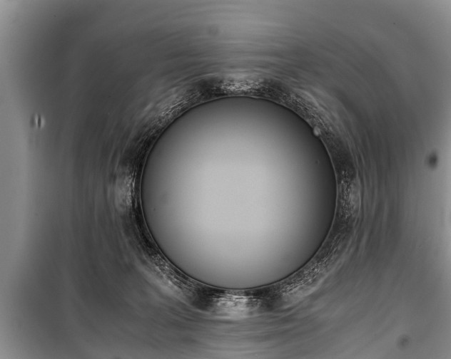 X0000100770227200806261551