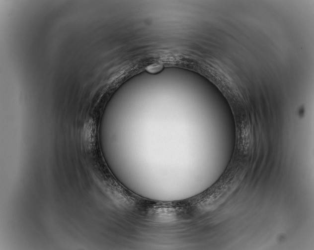 X0000100770228200806261551