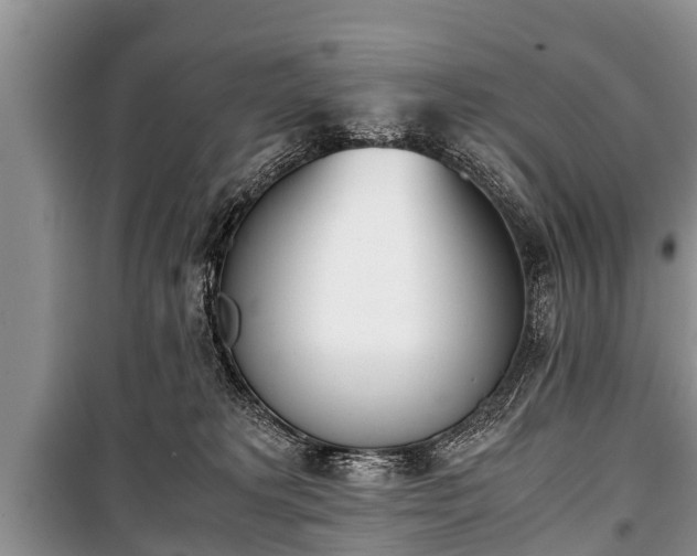 X0000100770229200806261551