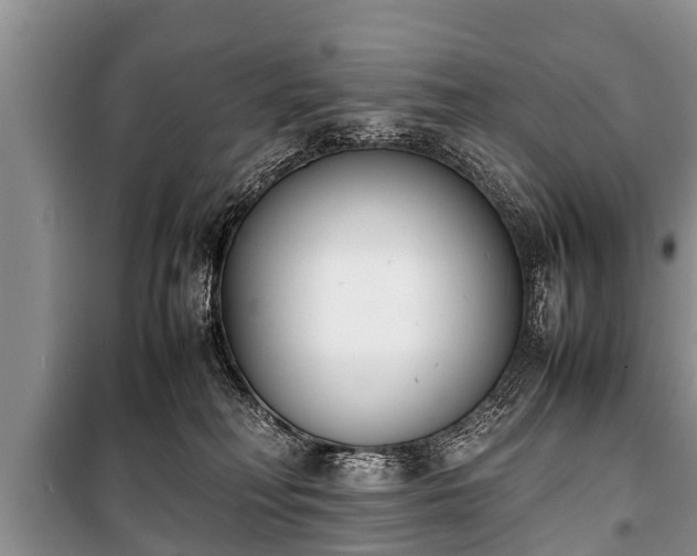 X0000100770230200806261551