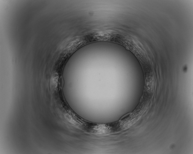 X0000100770231200806261551
