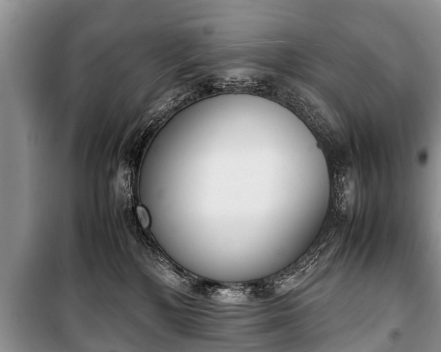 X0000100770232200806261551