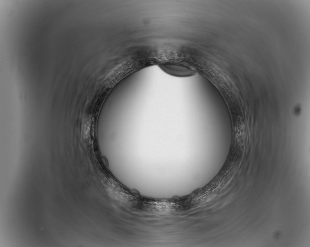 X0000100770233200806261551