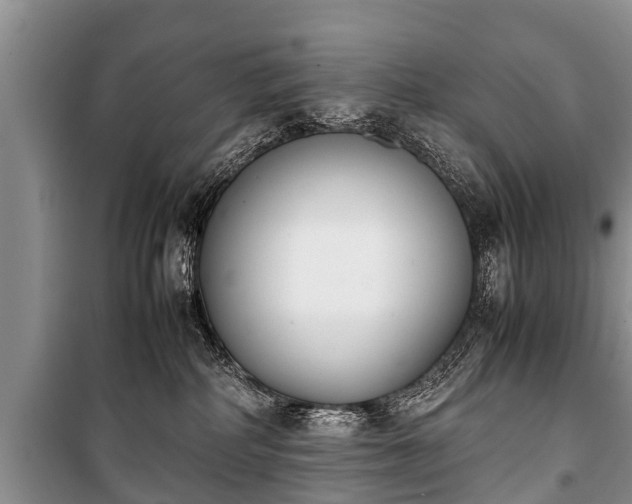X0000100770234200806261551