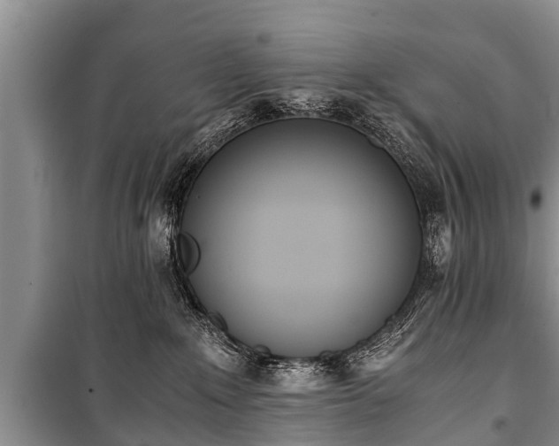 X0000100770235200806261551