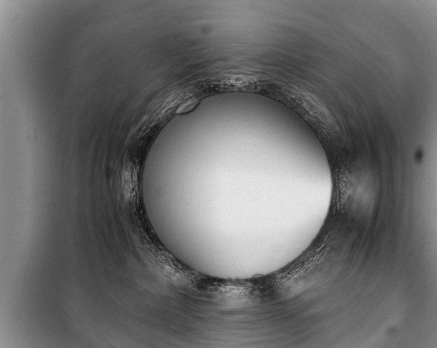 X0000100770236200806261551
