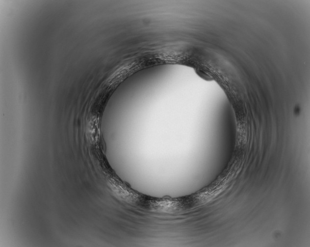 X0000100770237200806261551