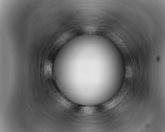 X0000100770238200806261551