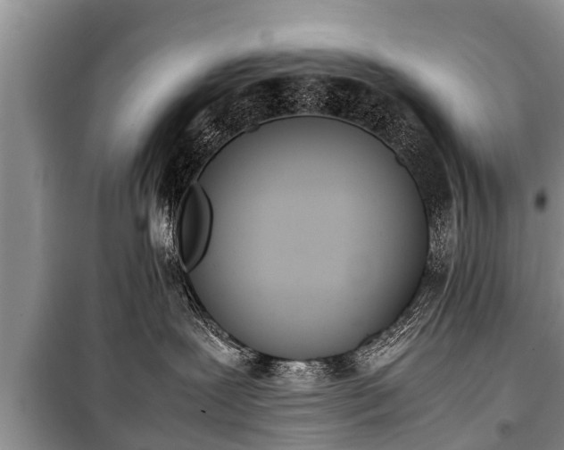 X0000100770239200806261551