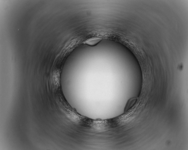 X0000100770240200806261551