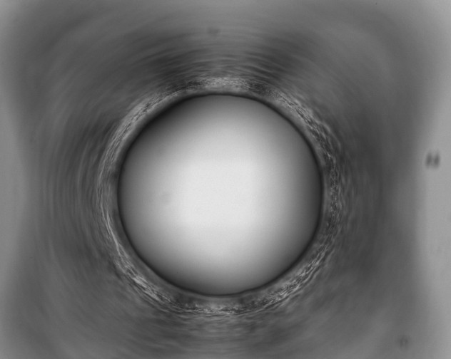 X0000100770241200806261550