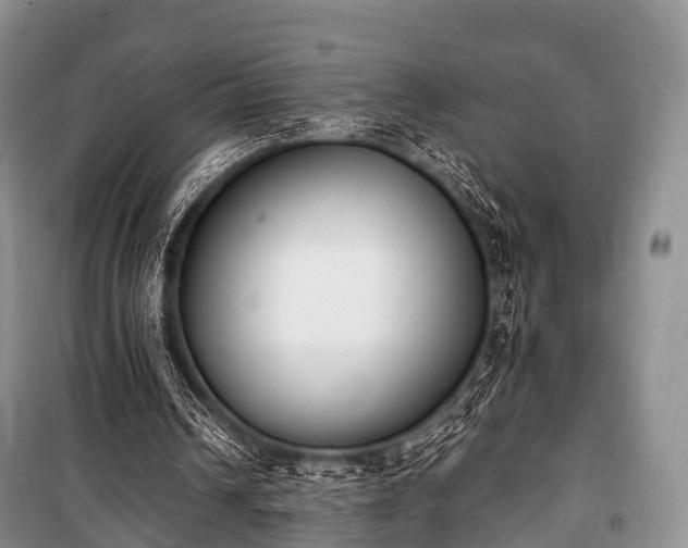 X0000100770242200806261550