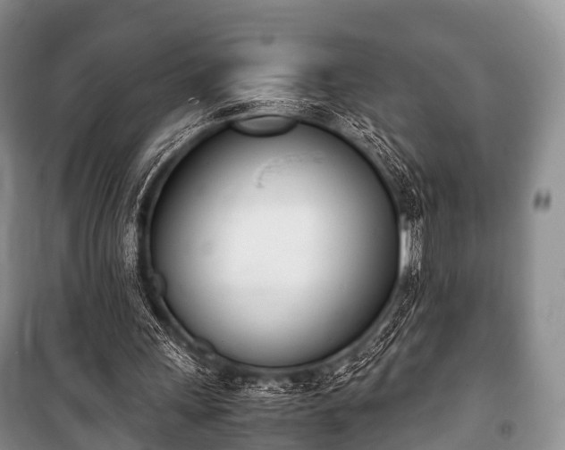 X0000100770243200806261550