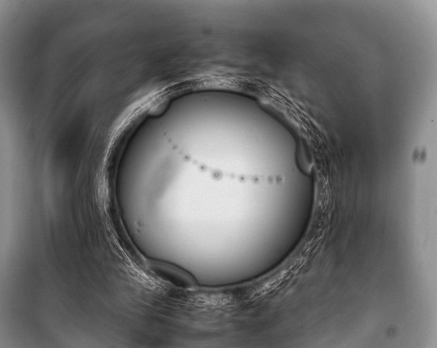X0000100770245200806261550