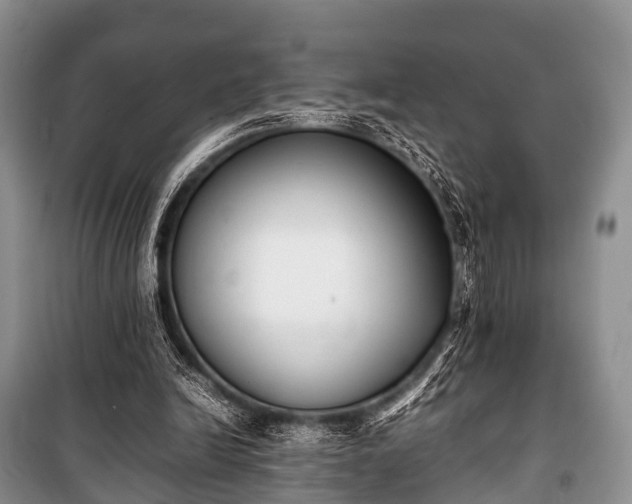 X0000100770246200806261550