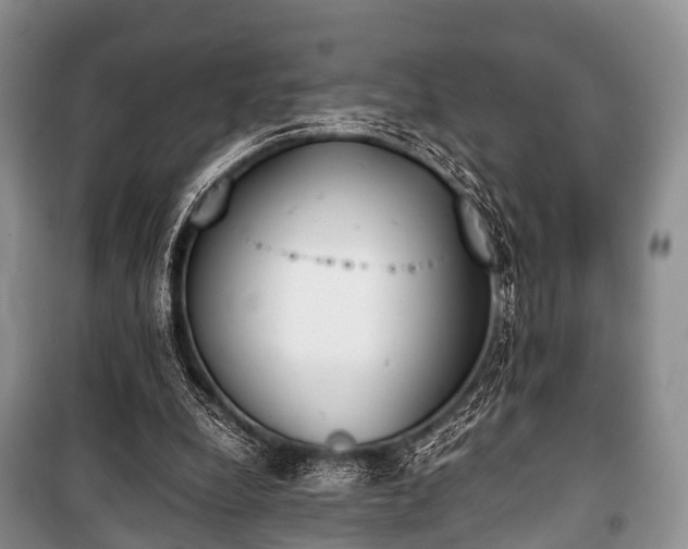 X0000100770248200806261550