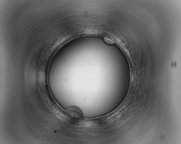 X0000100770249200806261550