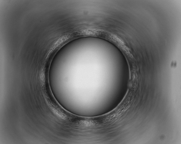 X0000100770250200806261550