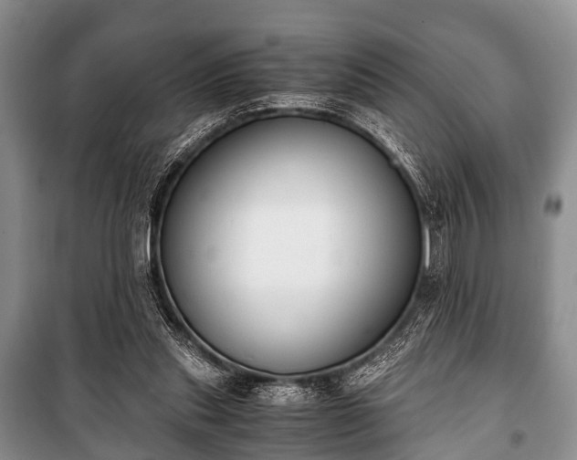 X0000100770253200806261550