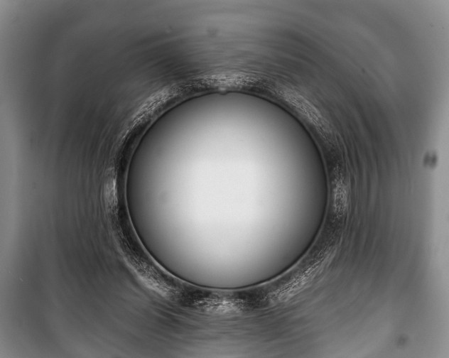 X0000100770254200806261550