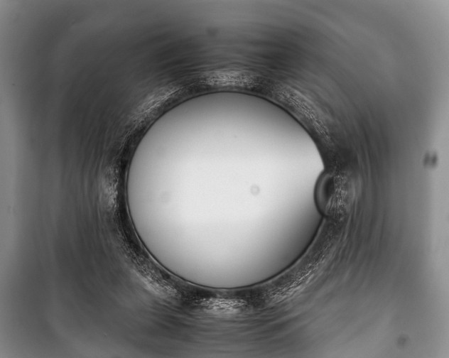 X0000100770255200806261550